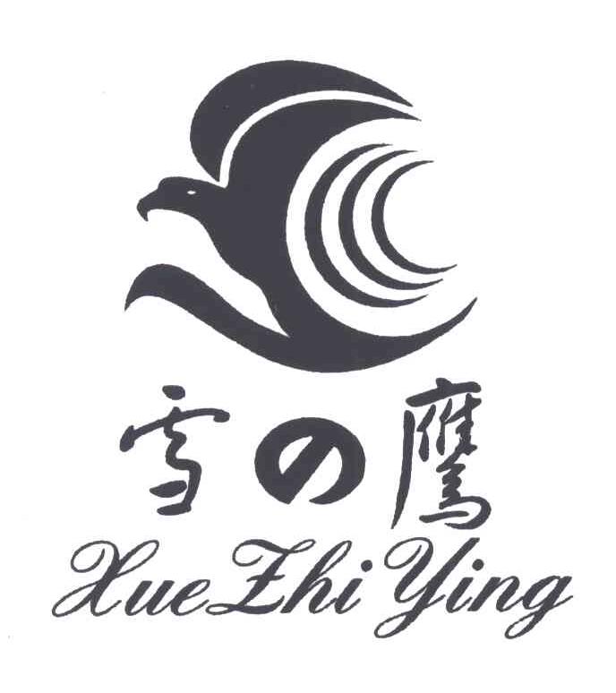 雪鹰;XUE ZHI YING