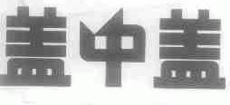 盖中盖
