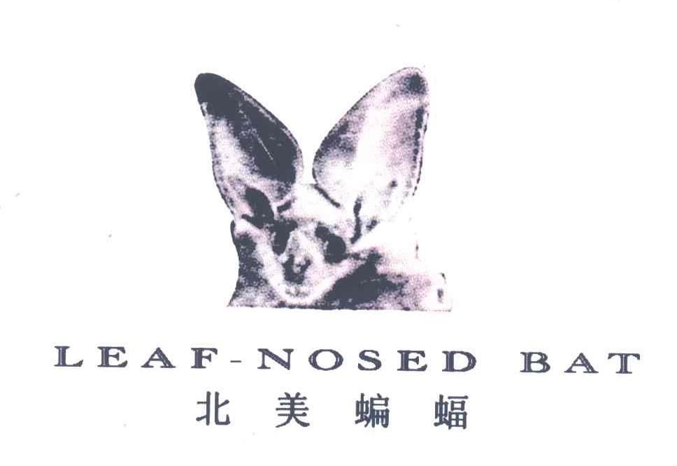 北美蝙蝠;LEAF NOSED BAT