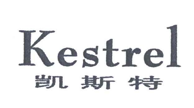 凯斯特;KESTREL