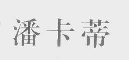 潘卡蒂