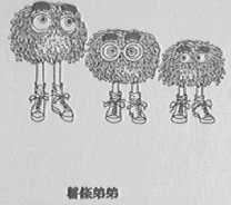 薯条弟弟