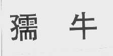 孺牛