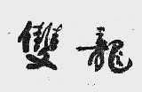 双龙