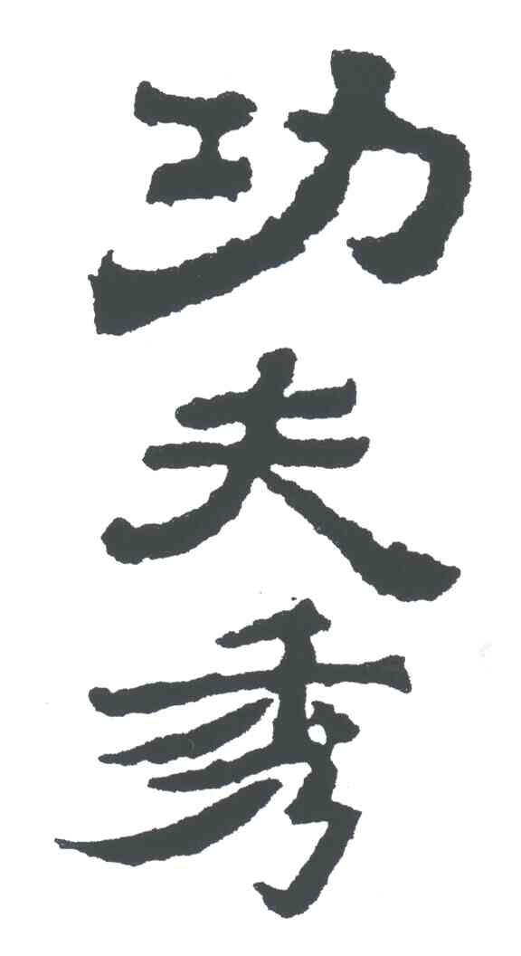 功夫秀;