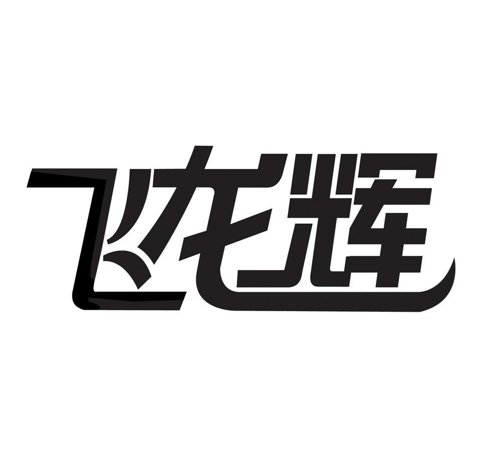 飞龙辉
