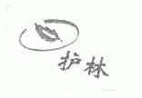 护林