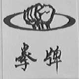 拳