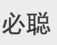 必聪