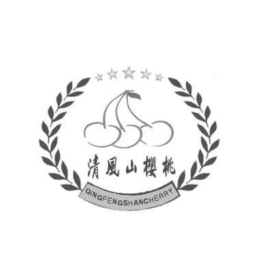 清风山樱桃 QINGFENGSHANCHERRY