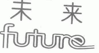 未来;FUTURE