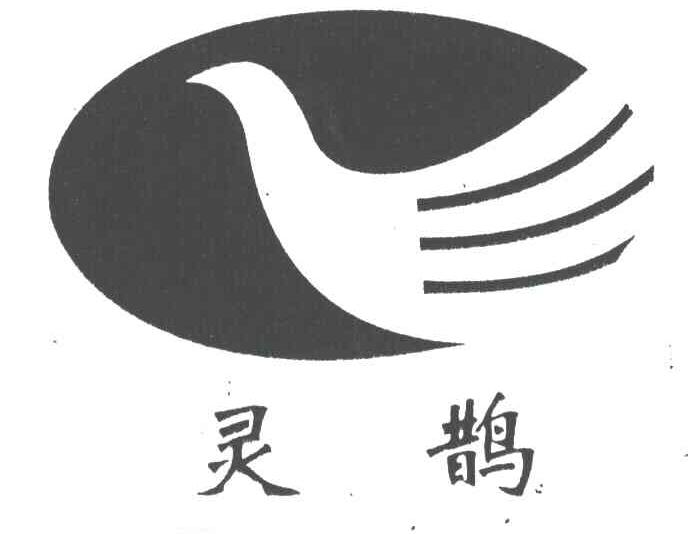 灵鹊