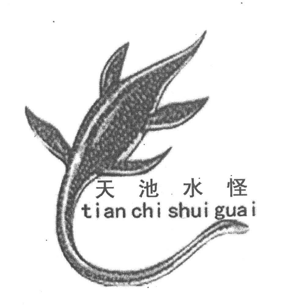 天池水怪