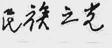 民族之光