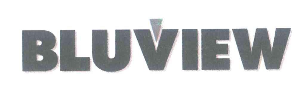 BLUVIEW