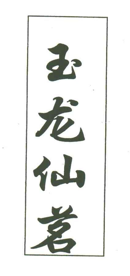 玉龙仙茗