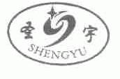 圣宇