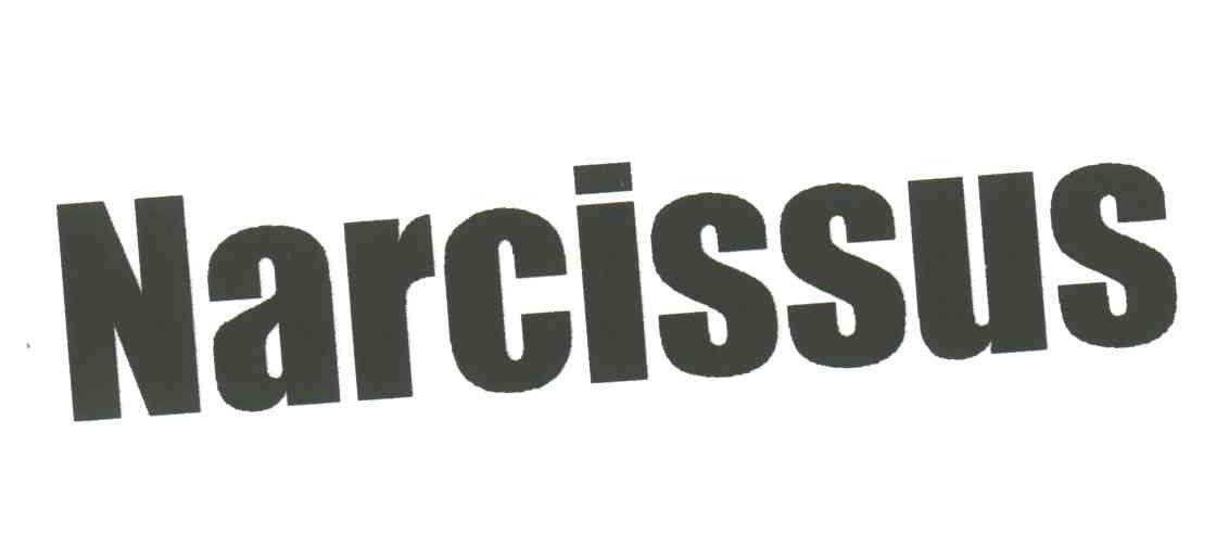 NARCISSUS