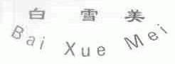 白雪美