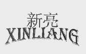 新亮