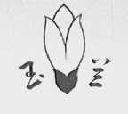 玉兰