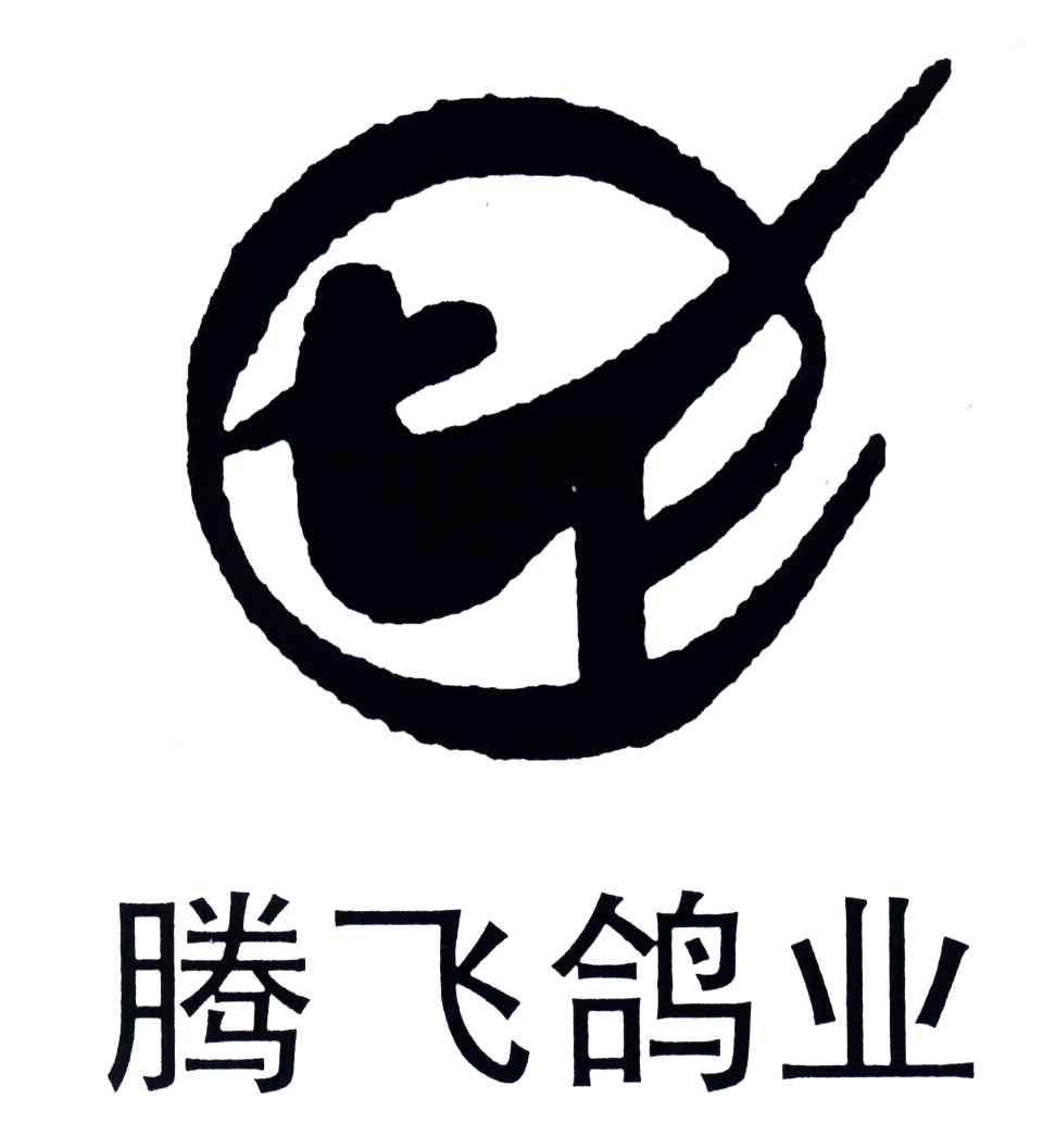 腾飞