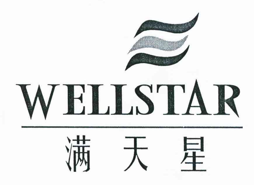 满天星 WELLSTAR
