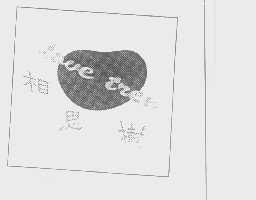 相思树   LOVE TREE