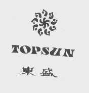 东盛   TOPSUN
