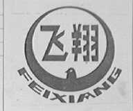 飞翔