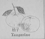 桔子    TANGERINE