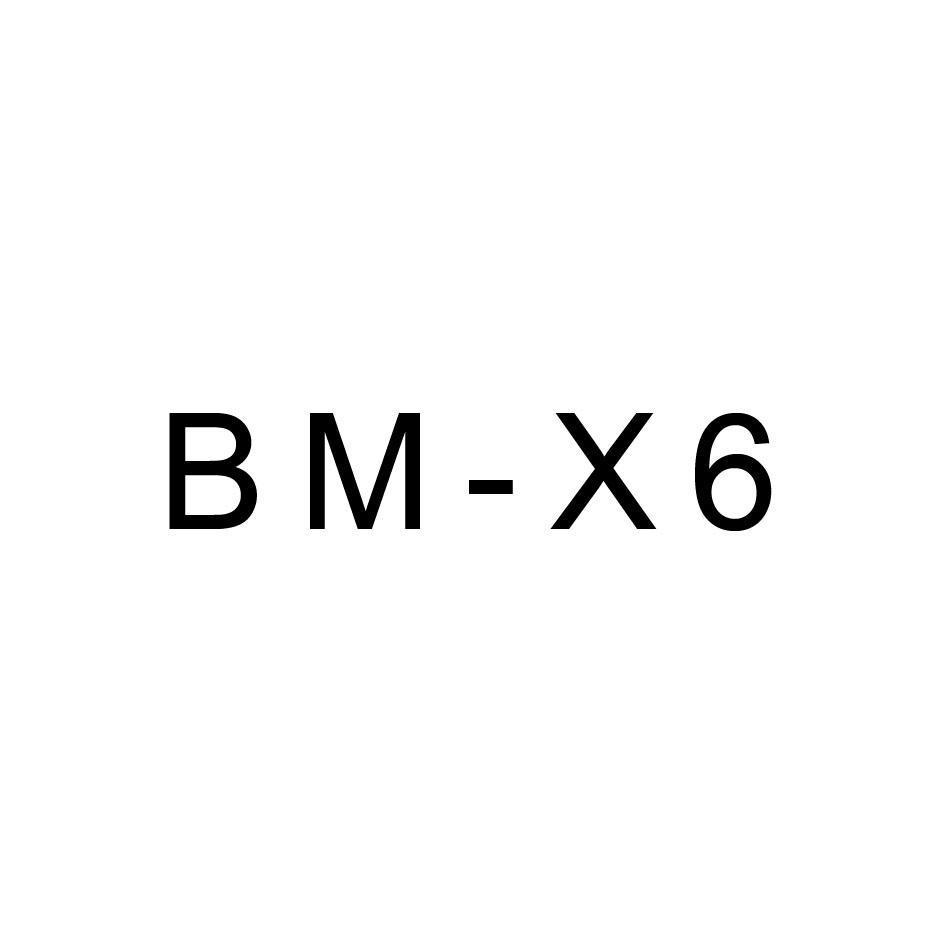BM-X6