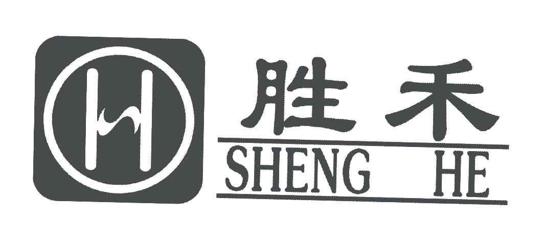 胜禾 H
