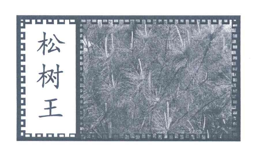 松树王