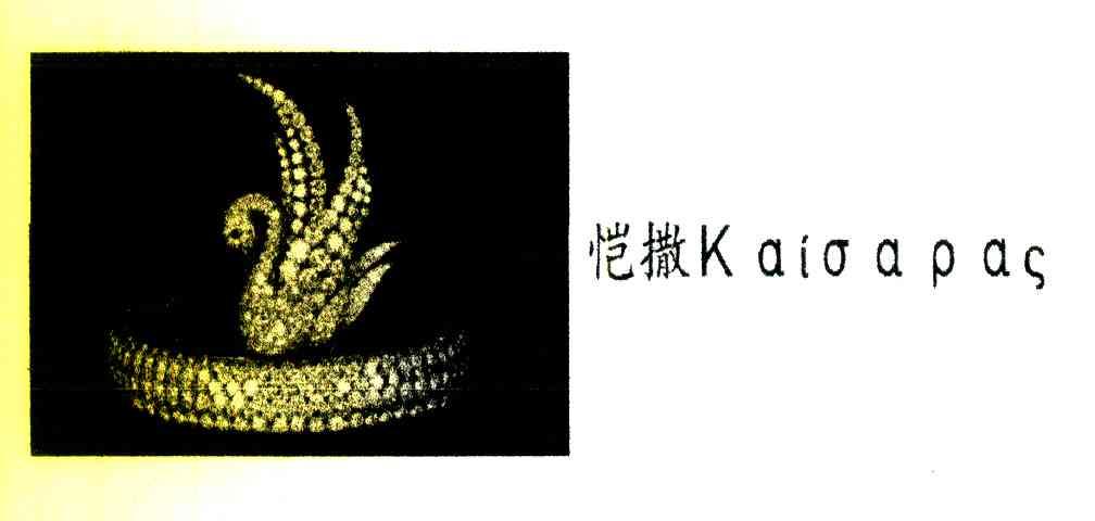 恺撒 KAIOAPAS