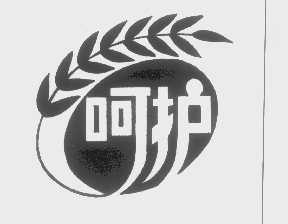 呵护
