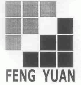 FENG YUAN