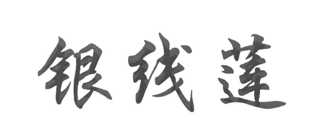 银线莲