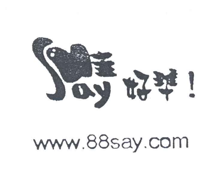 SAY;88；SAY好准