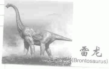 雷龙;BRONTOSAURUS