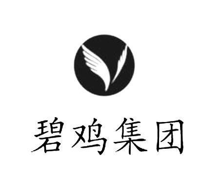 碧鸡集团