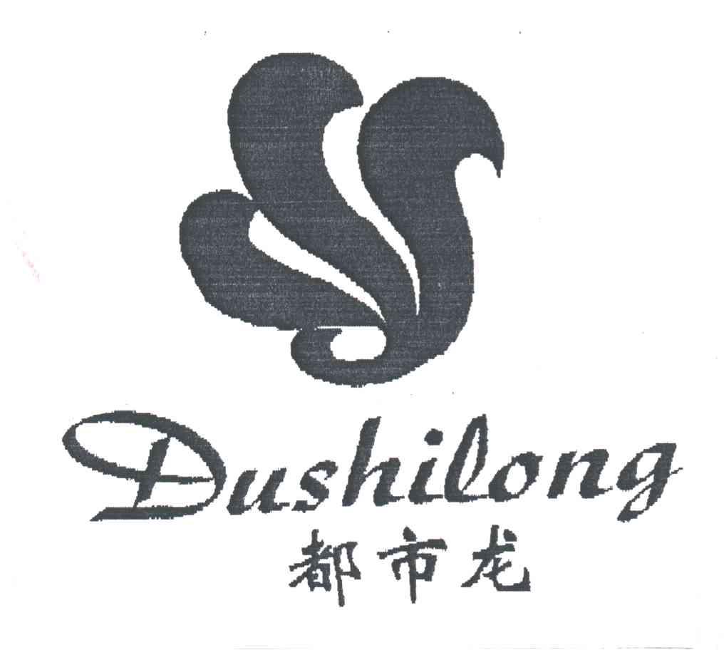 DU SHI LONG;;都市龙