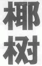 椰树