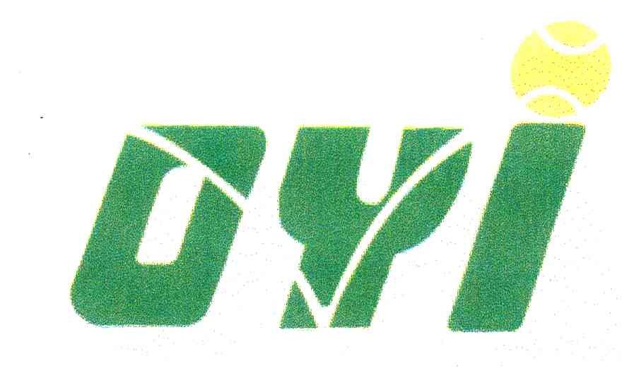 DYI