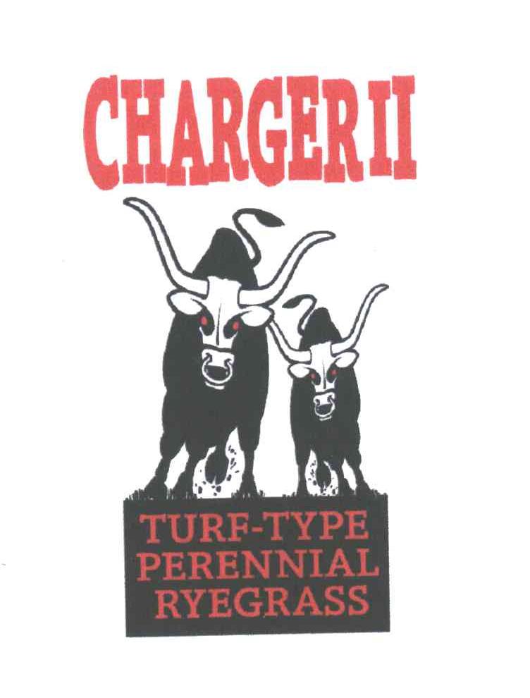 CHARGER TURF-TYPE PERENNIAL RYEGRASS