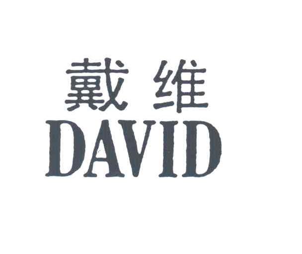 戴维DAVID