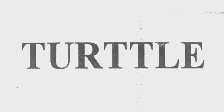 TURTTLE