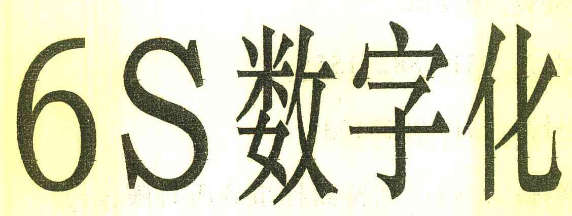 数字化 6 S