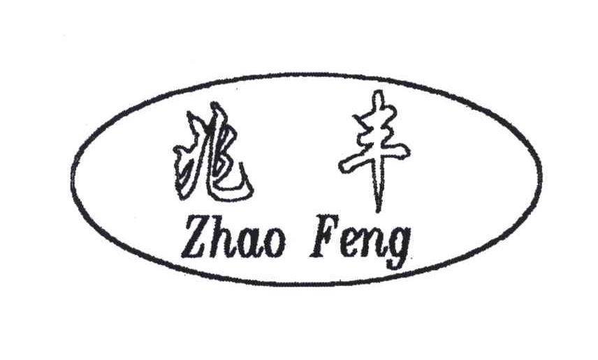 兆丰;ZHAO FENG
