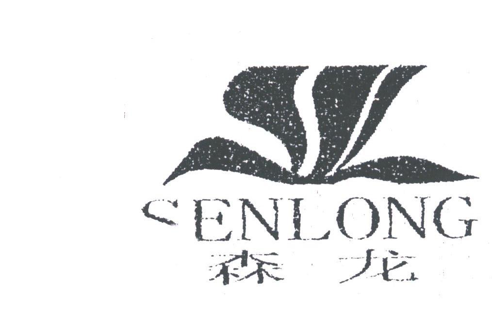 森龙